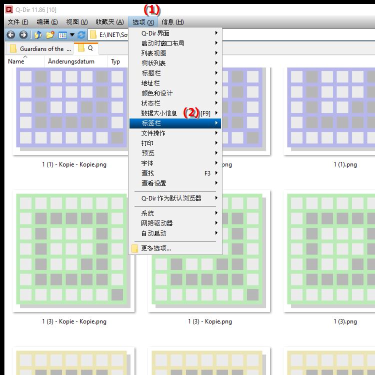 Windows 的 Q Dir 文件资源管理器中的选项卡管理提供哪些选项